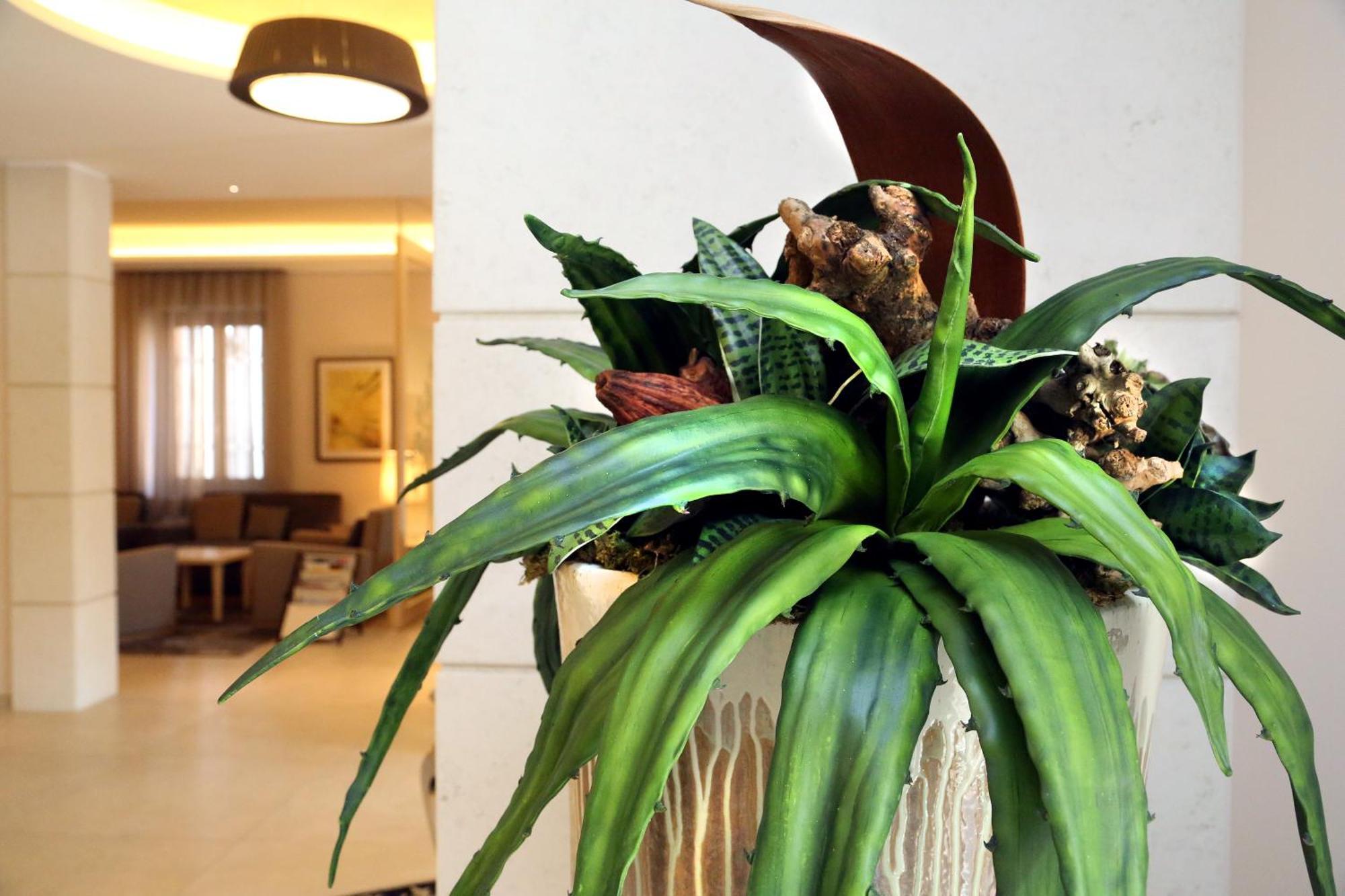 Hotel Garden 3*
