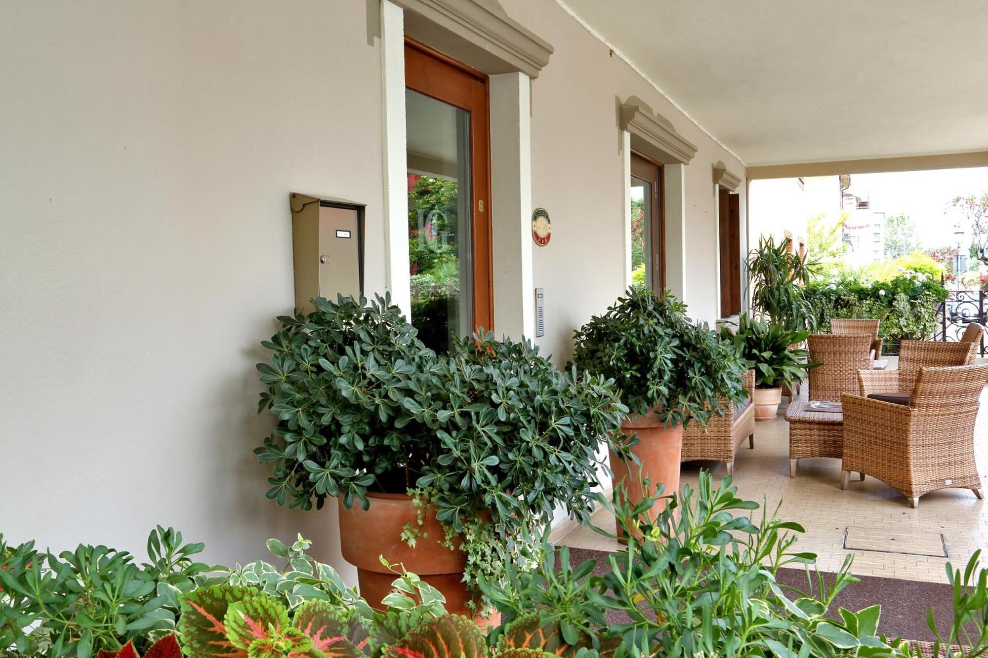 Hotel Garden 3*